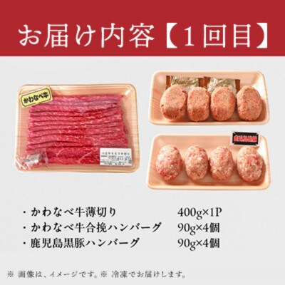 【毎月定期便】かわなべ牛バラエティー定期便全3回