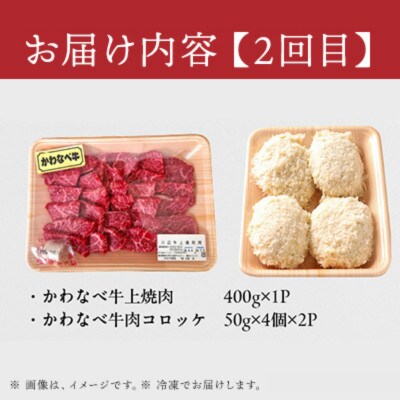 【毎月定期便】かわなべ牛バラエティー定期便全3回