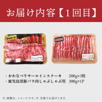 【毎月定期便】かわなべ牛・鹿児島黒豚よりどり定期便全3回