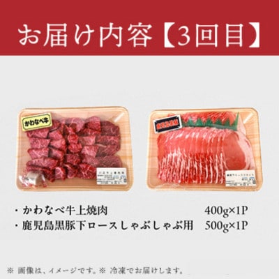 【毎月定期便】かわなべ牛・鹿児島黒豚よりどり定期便全3回
