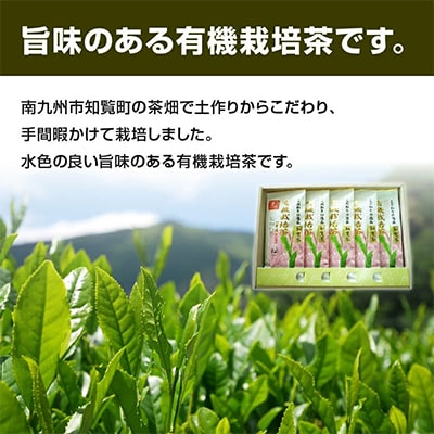 【のし付き・お中元】知覧茶有機栽培茶 90g 計5本セット