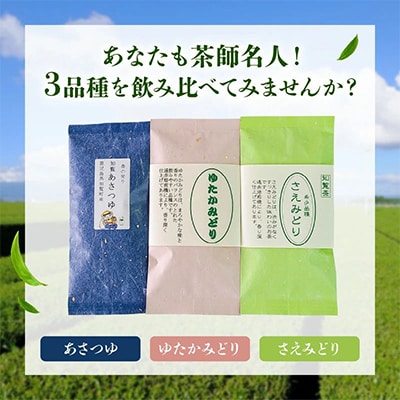 【のし付き・お中元】人気3品種知覧茶飲み比べ 計300gセット