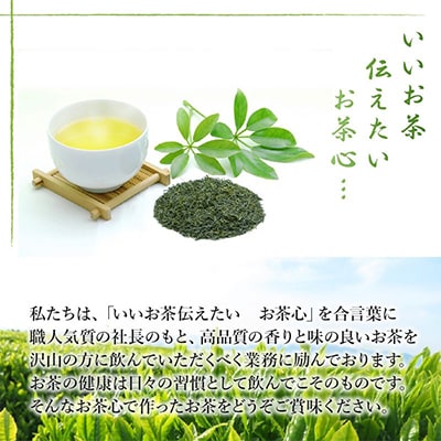 【のし付き・お中元】人気3品種知覧茶飲み比べ 計300gセット