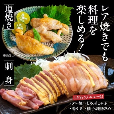 【2ヵ月毎定期便】さつま極鶏大摩桜 刺身用ブロック全6回