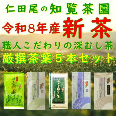 【令和8年産 新茶予約 自宅用】知覧茶園深むし茶 厳撰茶葉5本セット