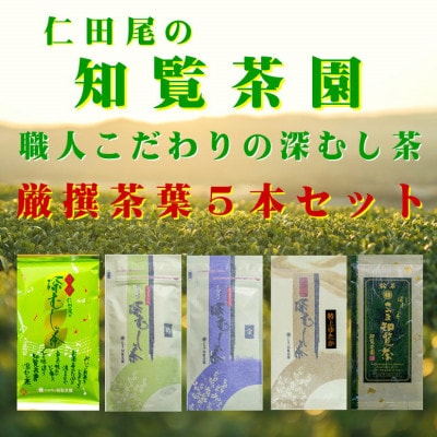 【自宅用】知覧茶園深むし茶 厳撰茶葉5本セット