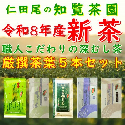 【令和8年産 新茶予約 自宅用】知覧茶園の深むし茶 厳撰茶葉5本セット