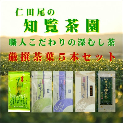 【贈答用】知覧茶園深むし茶 厳撰茶葉5本セット