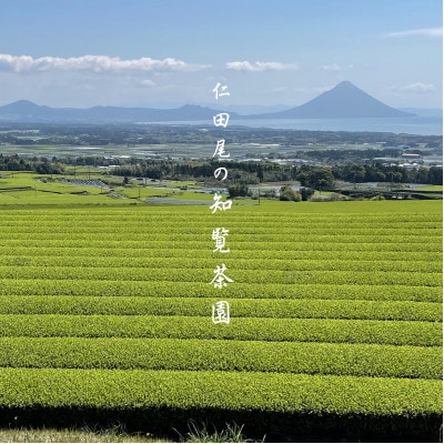 【令和8年産 新茶予約 自宅用】知覧茶園の深むし茶2本セット「金・吟」