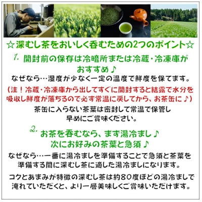 【自宅用】知覧茶園の特撰深むし茶 600g(200g×3本セット)