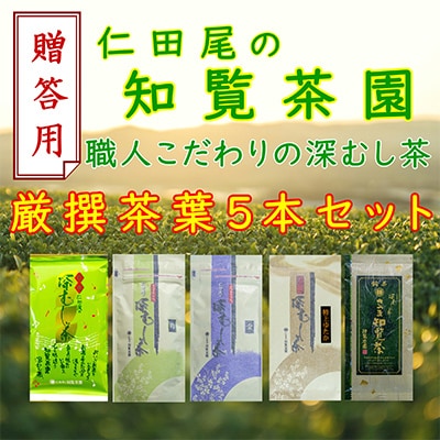 【贈答用】知覧茶園の深むし茶 厳撰茶葉5本セット