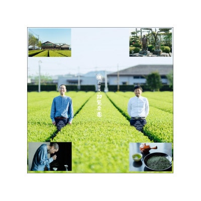 【自宅用】知覧茶園の深むし茶「吟」3本セット