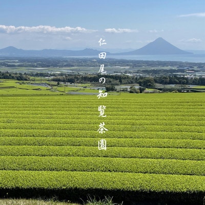 【贈答用】知覧茶園のティーバッグ 「粉茶」3袋セット