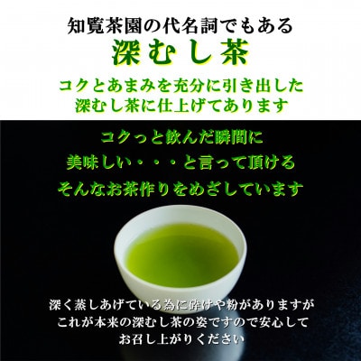 【自宅用】知覧茶園の深むし茶「金・吟」各70g×2本セット