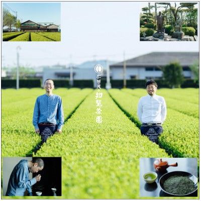 【贈答用】知覧茶園の深むし茶「吟」70g×3本セット