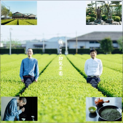 【贈答用】知覧茶園の深むし茶「金」70g×2本セット