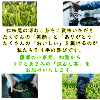 【贈答用】知覧茶園の深むし茶ティーバッグ「吟」10包入　3個セット