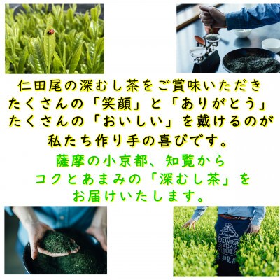 【自宅用】知覧茶園の深むし茶ティーバッグ「吟」10包入　3個セット