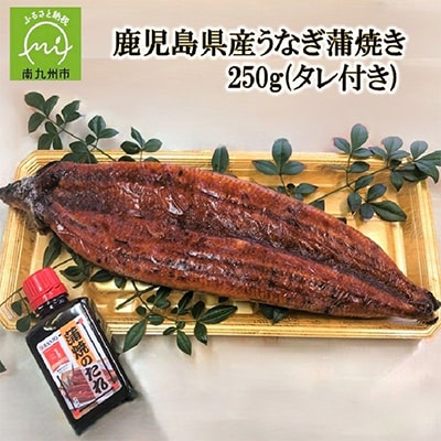 鹿児島県産うなぎ蒲焼き250g(タレ付き)
