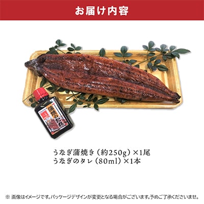 鹿児島県産うなぎ蒲焼き250g(タレ付き)