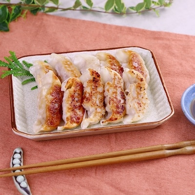 「かごしま黒豚さつま」餃子64個セット