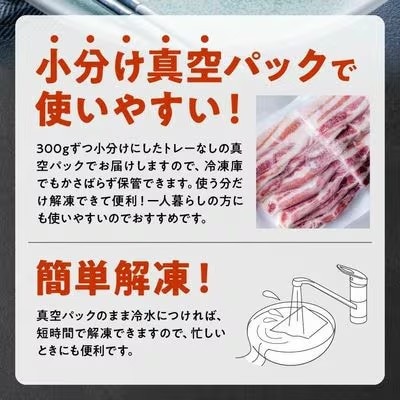 【発送月固定定期便】かごしま黒豚スライス定期便全12回