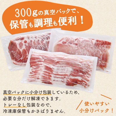 【毎月定期便】「かごしま黒豚さつま」しゃぶしゃぶ用3種900gセット(南九州市)全3回