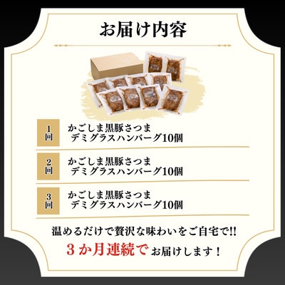 【毎月定期便】「かごしま黒豚さつま」デミグラスハンバーグ10個セット(南九州市)全3回
