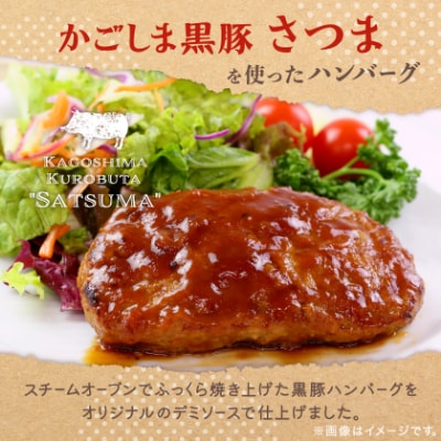 【毎月定期便】「かごしま黒豚さつま」デミグラスハンバーグ10個セット(南九州市)全3回