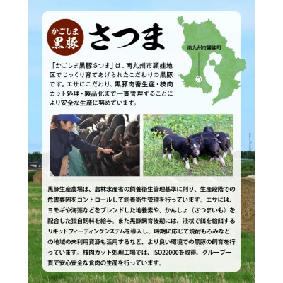 【毎月定期便】「かごしま黒豚さつま」デミグラスハンバーグ10個セット(南九州市)全3回