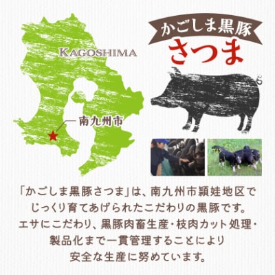 【毎月定期便】「かごしま黒豚さつま」デミグラスハンバーグ10個セット(南九州市)全3回