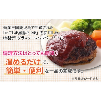 【毎月定期便】「かごしま黒豚さつま」デミグラスハンバーグ10個セット(南九州市)全3回