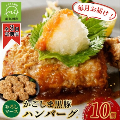 【毎月定期便】かごしま黒豚ハンバーグおろしソース10個(南九州市)全3回