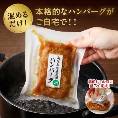 【毎月定期便】かごしま黒豚ハンバーグおろしソース10個(南九州市)全3回