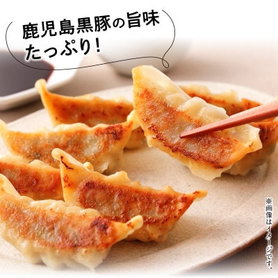 鹿児島黒豚餃子12P(計144個)