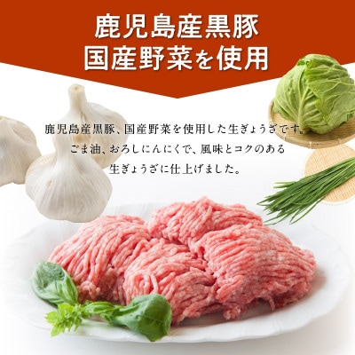 鹿児島黒豚餃子12P(計144個)