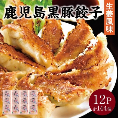 鹿児島黒豚餃子生姜風味12P(計144個)