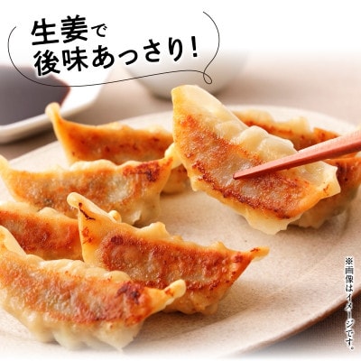 鹿児島黒豚餃子生姜風味12P(計144個)