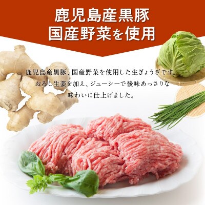 鹿児島黒豚餃子生姜風味12P(計144個)