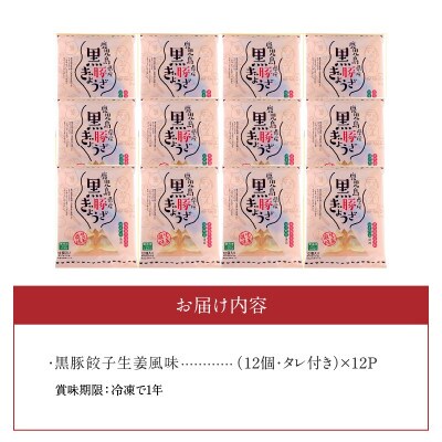 鹿児島黒豚餃子生姜風味12P(計144個)