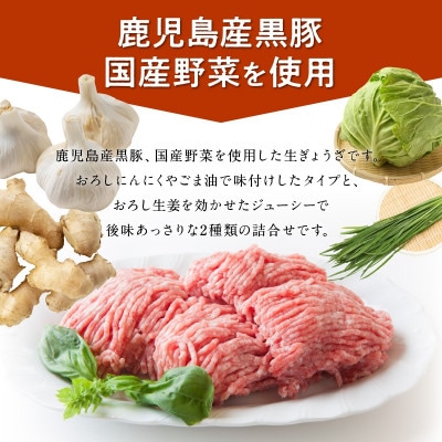鹿児島黒豚餃子2種類12P(計144個)