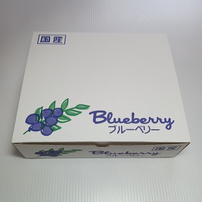 冷凍ブルーベリー 1kg