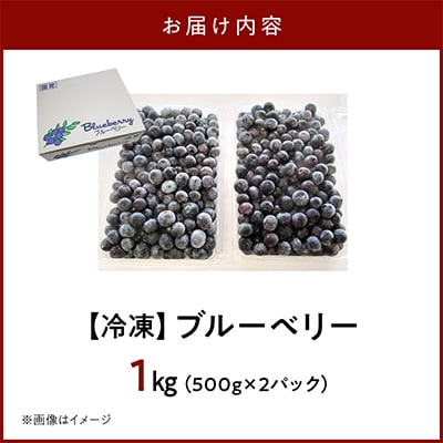 冷凍ブルーベリー 1kg