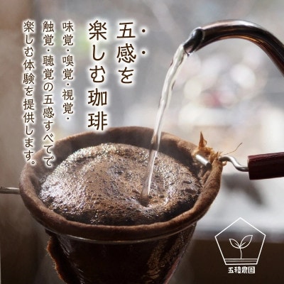五稜珈琲 ブルーマウンテン100g×2袋【豆タイプ】