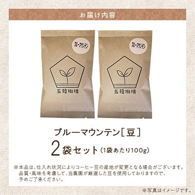 五稜珈琲 ブルーマウンテン100g×2袋【豆タイプ】