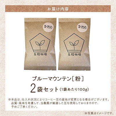 五稜珈琲 ブルーマウンテン100g×2袋【粉タイプ】