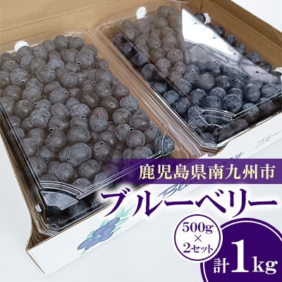完熟ブルーベリー　500g×2パックセット