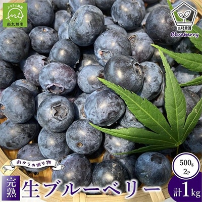 完熟ブルーベリー　500g×2パックセット