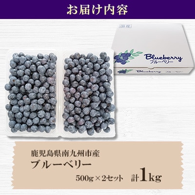 完熟ブルーベリー　500g×2パックセット