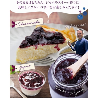 完熟ブルーベリー　500g×2パックセット